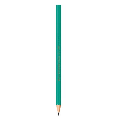 Lapis Grafite Sextavado Evolution Bic