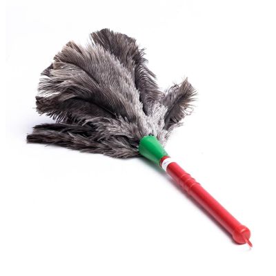 Espanador De Pena 30cm Duster