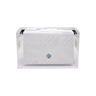 Arquivo Kit C/6 Pastas Suspensas Dellocolor Cristal Dello 320.h