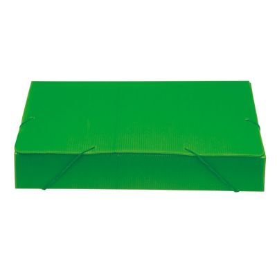 Pasta Polionda Larga 55mm Verde Polibras