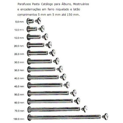Parafuso Para Pasta Fichario 10mm Pct C/100
