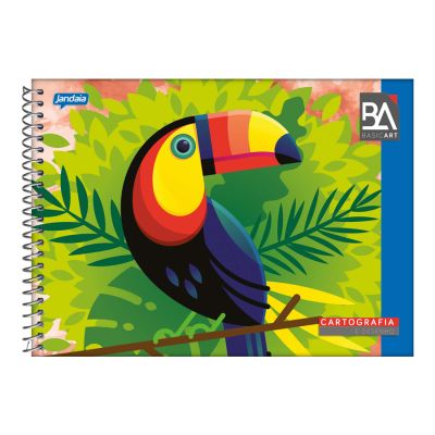 Caderno Cartografia Espiral Capa Flexivel 96fls Basic Art Jandaia