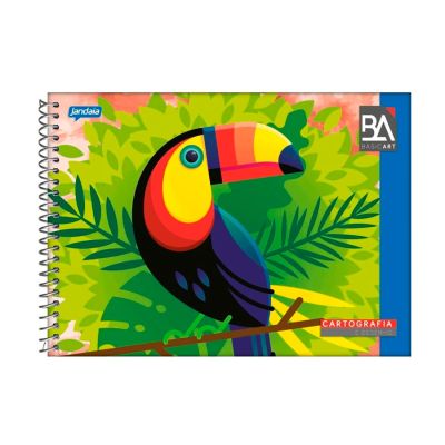 Caderno Cartografia Espiral Capa Flexivel  48fls Basic Arts Jandaia