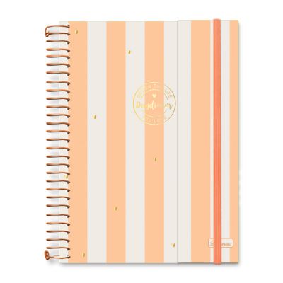 Caderno Colegial Espiral Criativo 80fls Daydream Cadersil