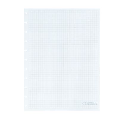 Refil Caderno Inteligente Quadriculado Grande 90g 50fls Cirg4025