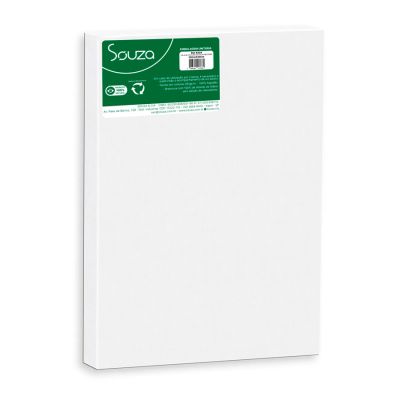 Tela De Pintura Escolar 20x30cm 8304 Souza
