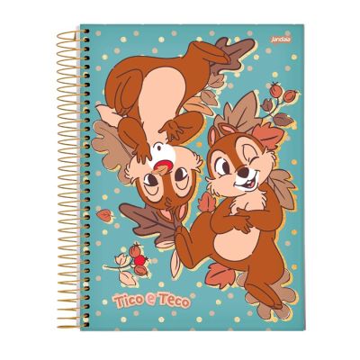Caderno Universitario Capa Dura 1x1 80fls Tico & Teco Jandaia