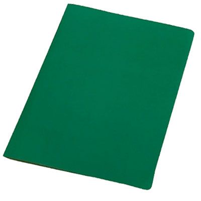 Pasta Simples Cartao Duplex 230g Plastificado Verde Icl