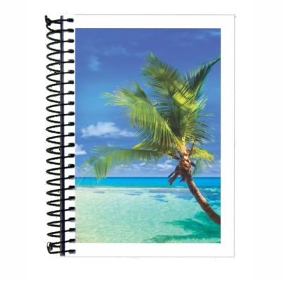 Caderneta Espiral Capa Flexivel 96fls Pautada 10x14cm Panamericana