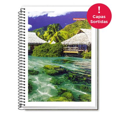 Caderno Linguagem Espiral Capa Flexivel 1/4 48fls Panamericana