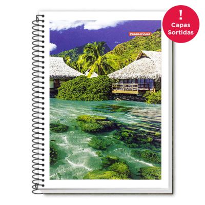 Caderno Linguagem Espiral Capa Flexivel 1/4 96fls Panamericana