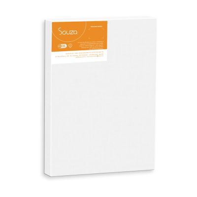 Tela De Pintura 20x30cm 8104 Souza