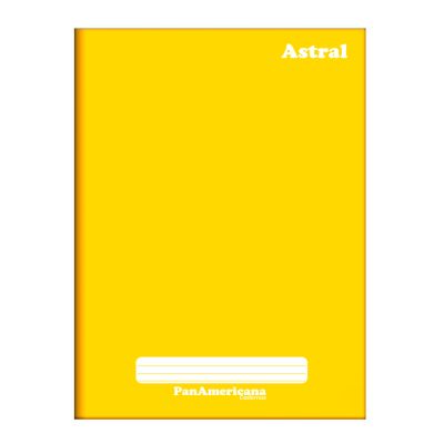 Caderno Quadriculado Brochura Capa Dura 1/4 7x7mm 96fls Panamericana