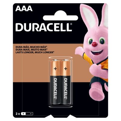 Pilha Alcalina Aaa Mn2400b2 1,5v C/2 Un Duracell