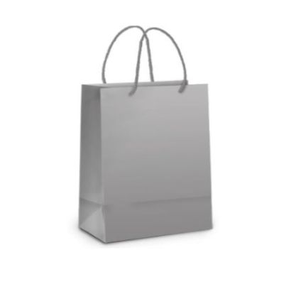 Sacola Laminada P Prata 21x15x8cm Cromus