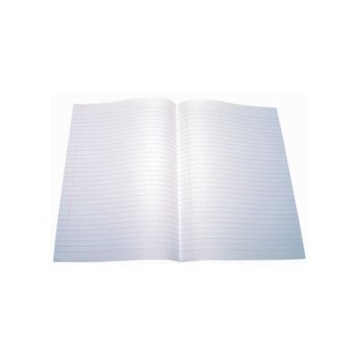 Papel Almaco Pautado 10fls Panamericana