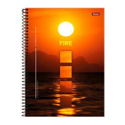 Caderno Universitario Capa Dura 12x1 192fls 4 Elementos Foroni