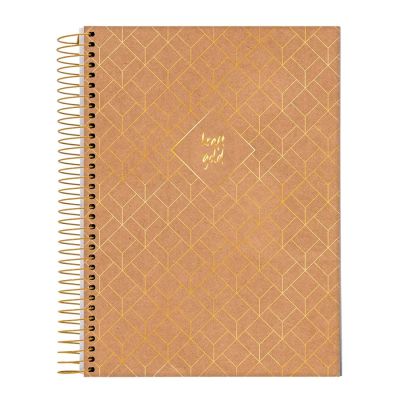 Caderno Universitario Capa Dura 10x1 160fls Kraft Gold Jandaia