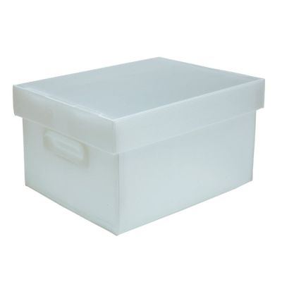 Caixa Organizadora Pequena Cristal Plus Best Box Polibras 0022817