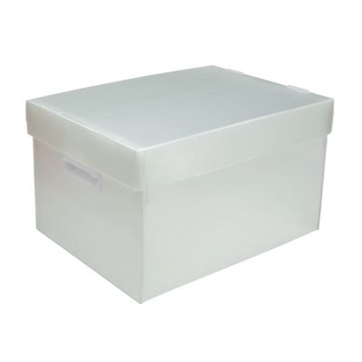 Caixa Organizadora Grande Cristal Plus Best Box Polibras 0023017