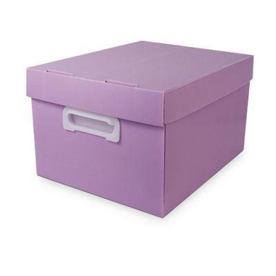 Caixa Organizadora Grande Lilas Pastel Fosca Best Box Polibras 022323