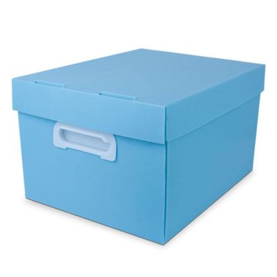 Caixa Organizadora Grande Azul Pastel Fosca Best Box Polibras 022321
